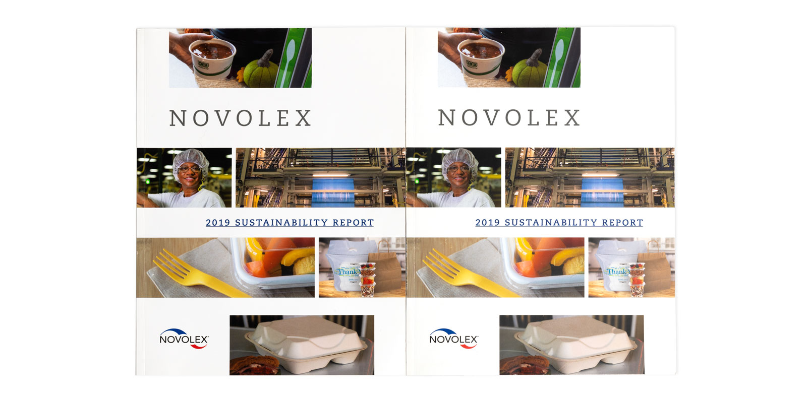 novolex_2019_cover_r2