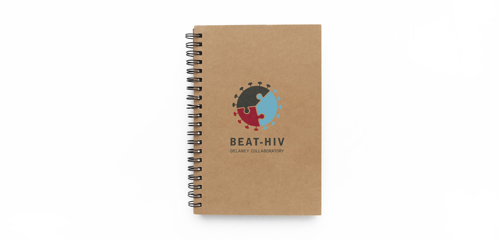 BeatHIV_notebook1